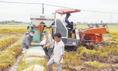 Huyện Hưng Hà - Thái Bình: Đẩy nhanh tiến độ hoàn thiện các tiêu chí nông thôn mới